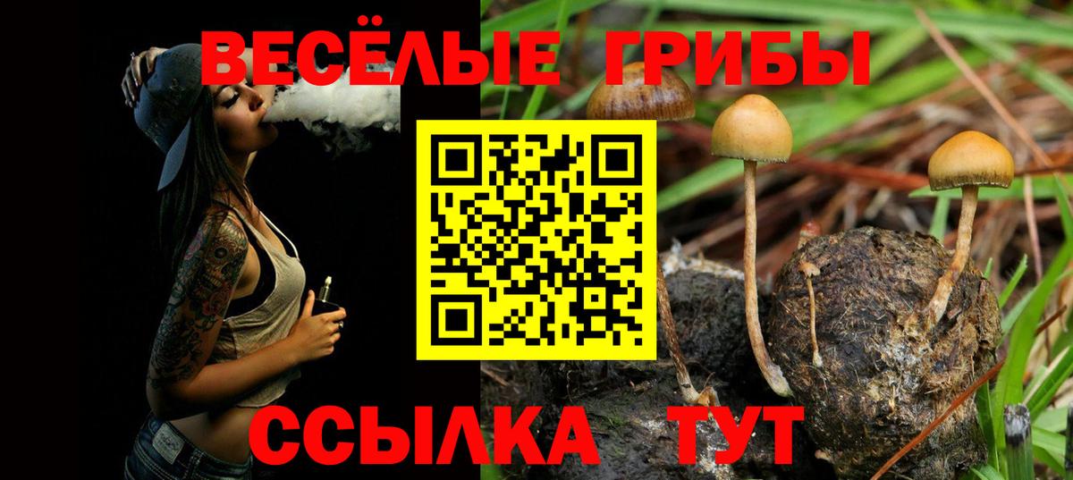 Галлюциногенные грибы прущие грибы Братск