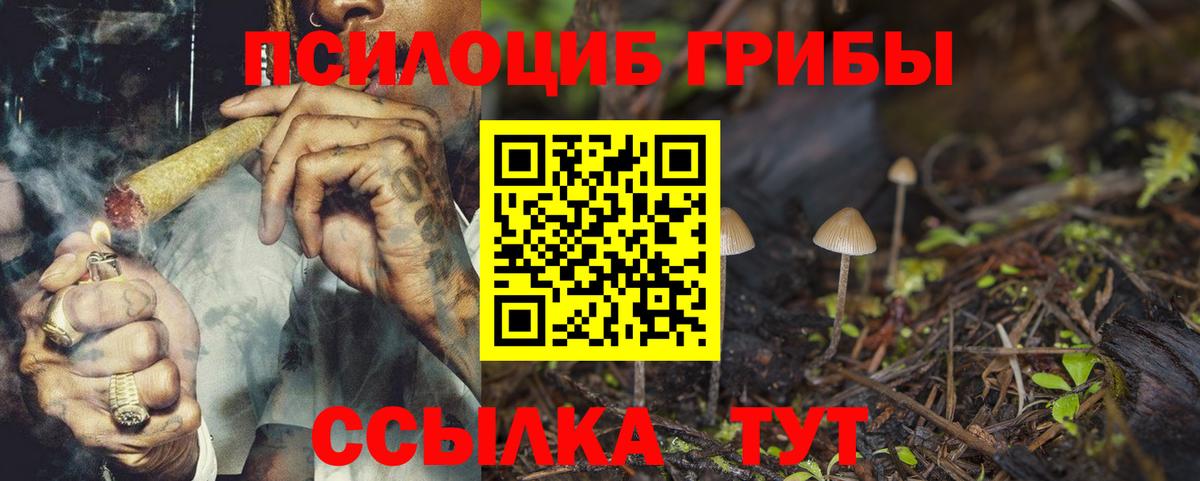 Псилоцибиновые грибы ЛСД  Вход с VPN  Братск 